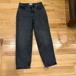 Everlane Curvy Way High Jeans 30L